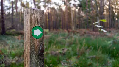 FIRST-PERSON: Jesus is our way and our way marker | Baptist Press