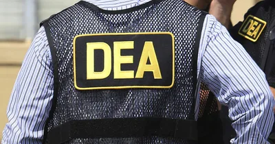 Feds Stage Huge Bust of Southern California Marijuana Farms